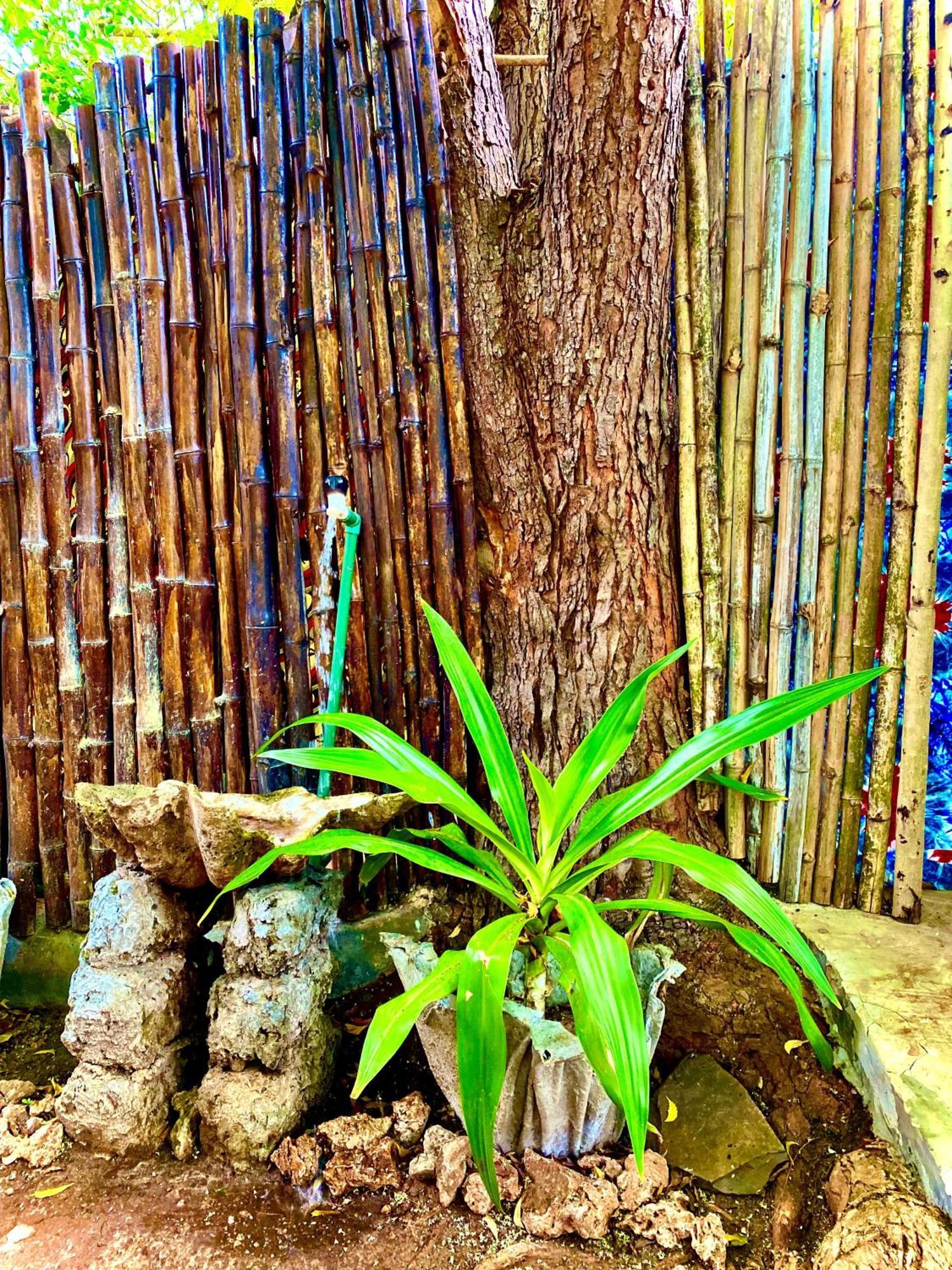 African Hut Tiny Cottage Диани-Бич Экстерьер фото